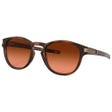 Latch Matte Brown Tortoise Prizm Brown Gradient