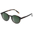 Sun #D Tortoise Soft Grey Polarized