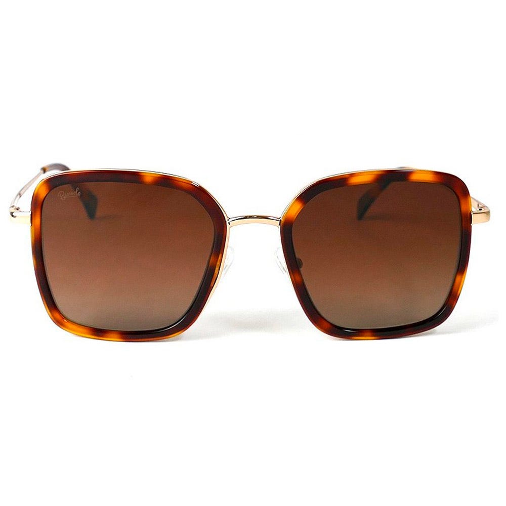Paloma Shiny Gold Tortoise Gradient Brown Polarized