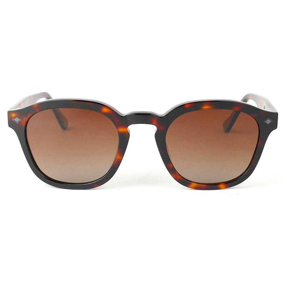 James Shiny Tortoise Gradient Brown Polarized