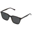 Jay Black Tortoise