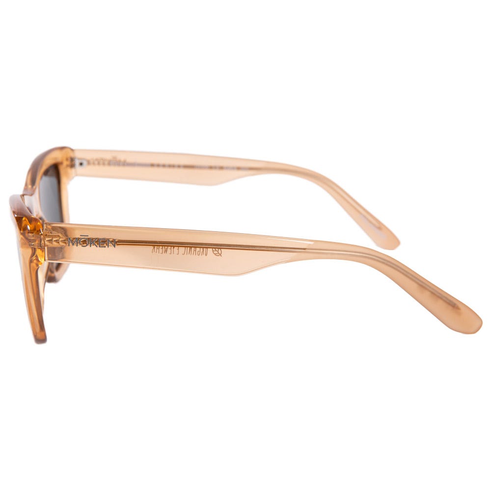 Izis Brown Grey Cat.3 Polarized