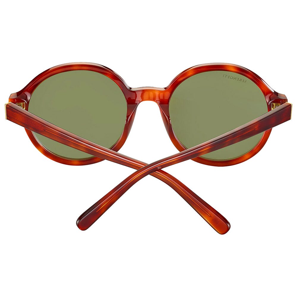 Joan Shiny Classic Havana Polarized 555nm