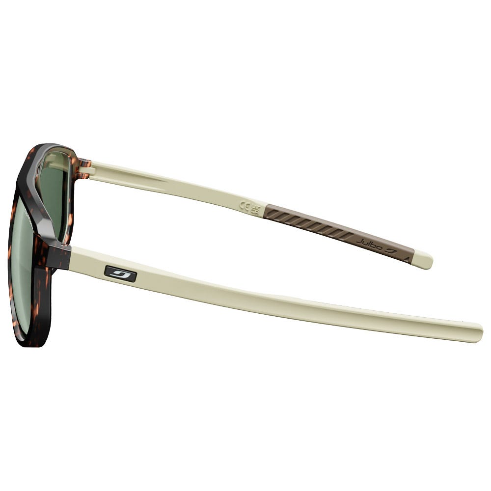 Ward Ecaille Marron Gris Spectron 3 Polarized