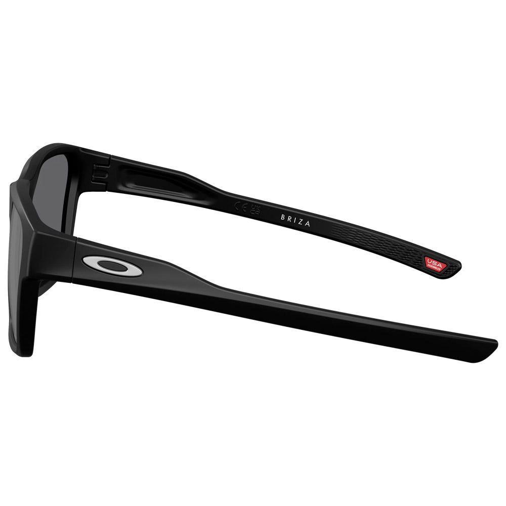 Briza Matte Black Prizm Black Polarized