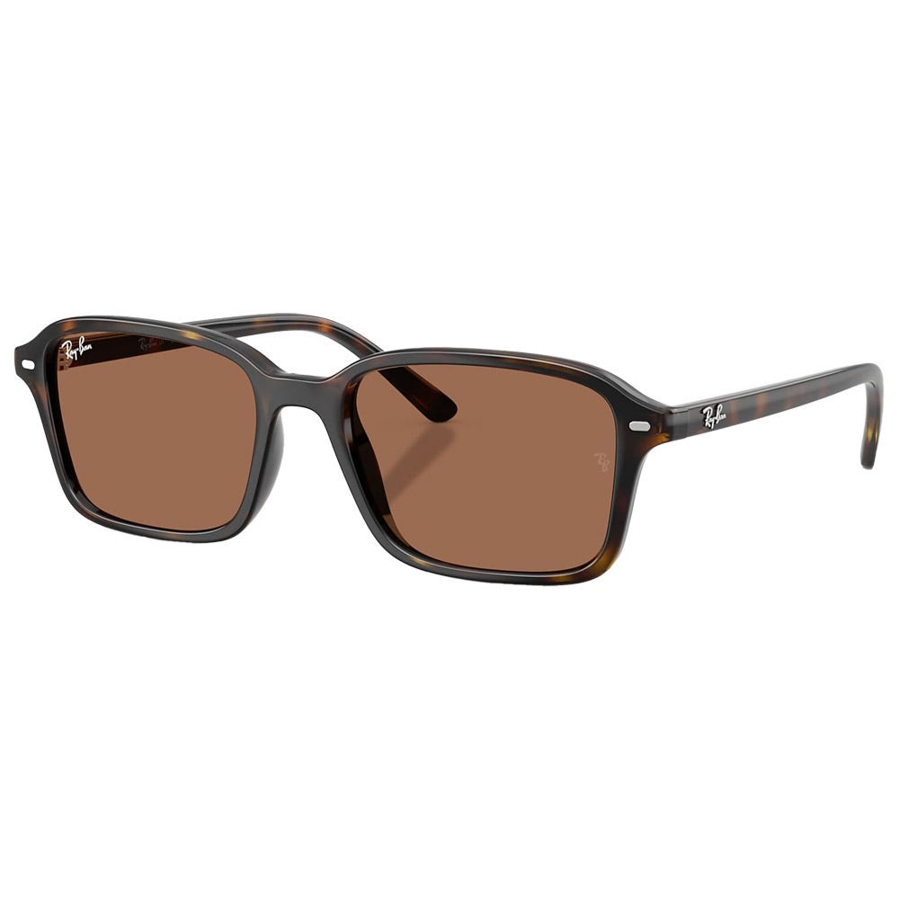 RB9131S Kids Polished Havana Dark Brown