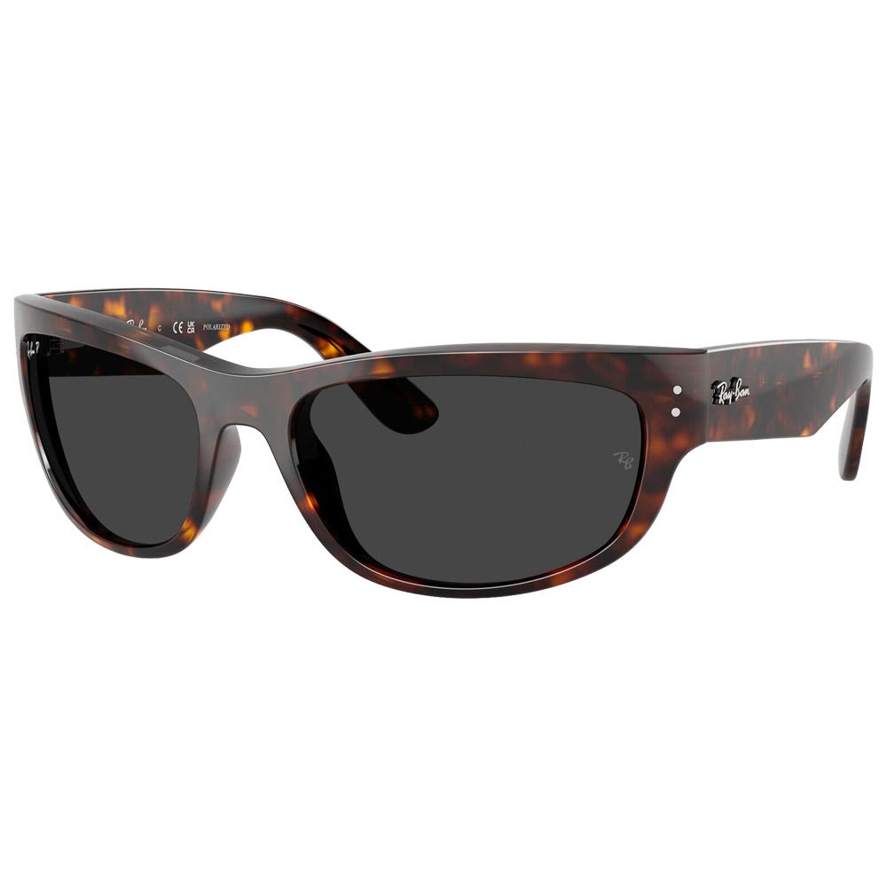 RB2289 Mega Balorama Polished Havana Polar Black