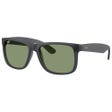 RB4165 Justin Classic Mat Grey Opaline Green