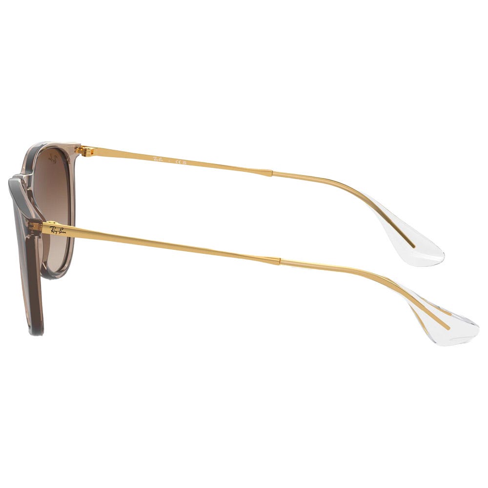 RB4171 Erika Classic Polished Light Brown Translucide Brown