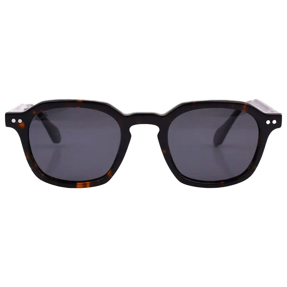 Cancun Shiny Tortoise Gradient Grey Polarized