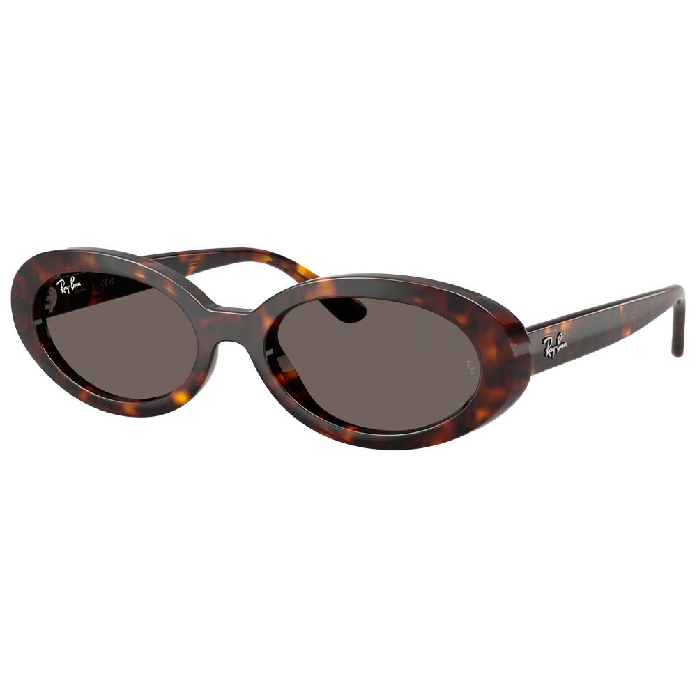 RB2223 Polished Havana Dark Grey