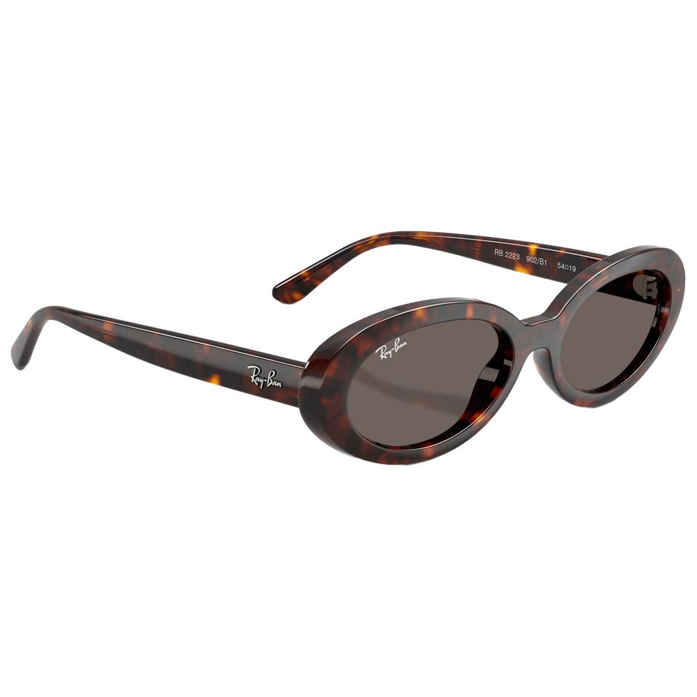 RB2223 Polished Havana Dark Grey