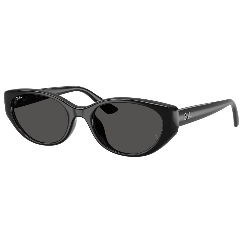RB4457D Polished Black Dark Grey