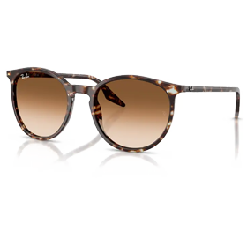 Ray Ban RB2204