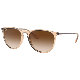 Ray Ban RB4171 Erika Classic