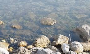 Szene ohne polarisiertes Glas, mit Reflexionen auf der Wasseroberfläche